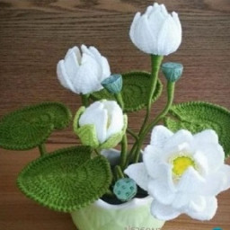 Цветы крючком.