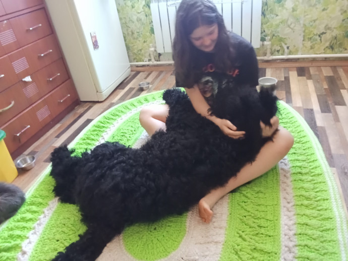 Украсила кухню к лету