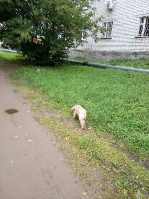 Чуток радости. Чуток радости.