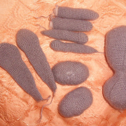 Еще один заяц.