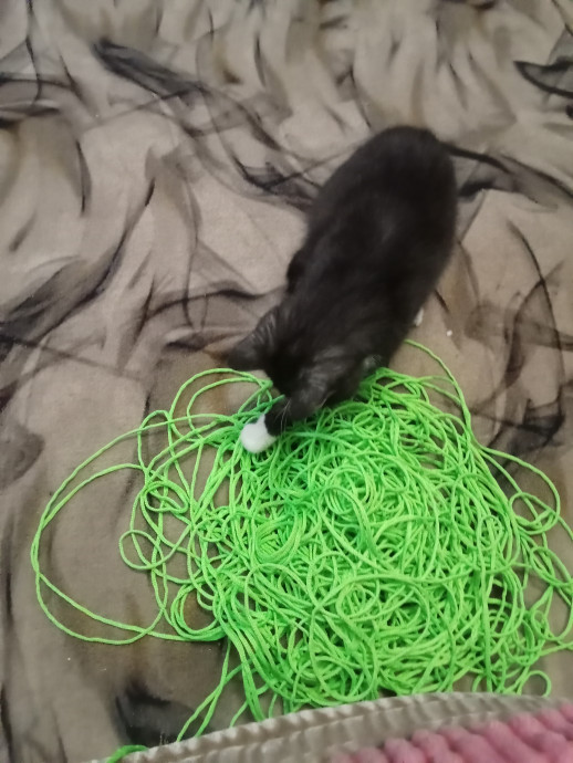 Украсила кухню к лету