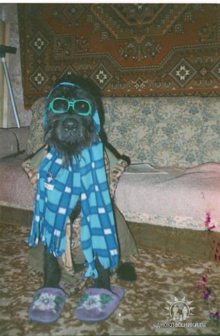 Мои жители Мои жители