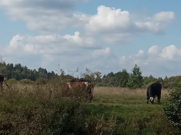 Выходной с пользой.