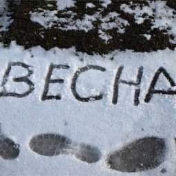 Весна идет!!!!