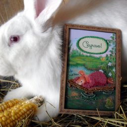 Говорите близким важные слова...