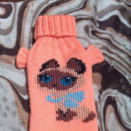 Вязанные костюмы для животных