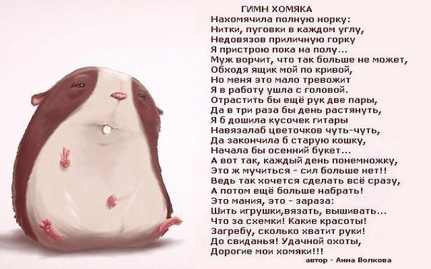 Душевный стишок
