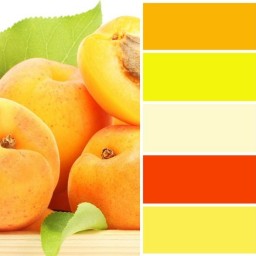 сочетание цветов