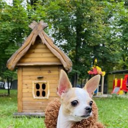 Шубка для подружки