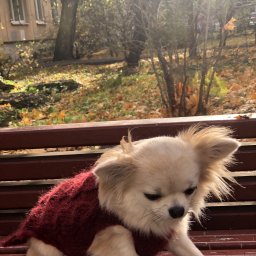 А мы не будем мёрзнуть на прогулке!!