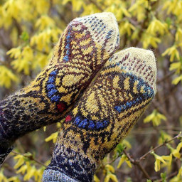 Варежки с бабочкой