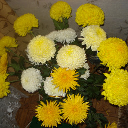 людмила е. людмила е.