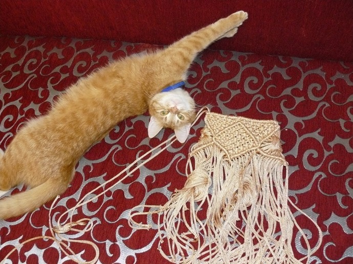 Младшая котомоделька Масяня Младшая котомоделька Масяня