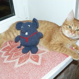 Мышастик номер три