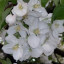 fareda74 fareda74