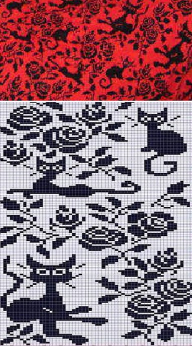Забавные котейки Забавные котейки