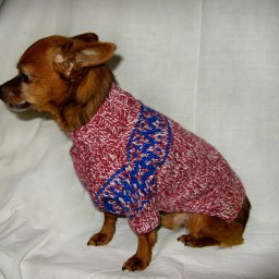 Вязаные одёжки для любимых питомцев.