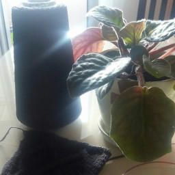 Мое сизое платье косами