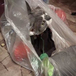 Мужской джемпер из пряжи супер як.