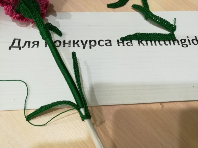 Букет гвоздик Букет гвоздик