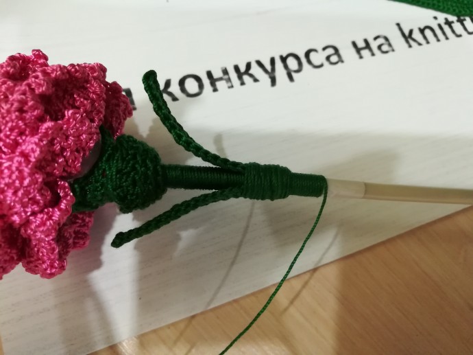 Букет гвоздик Букет гвоздик