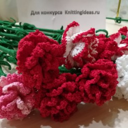 Букет гвоздик