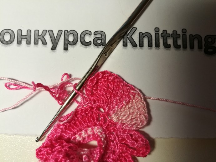 Букет гвоздик Букет гвоздик