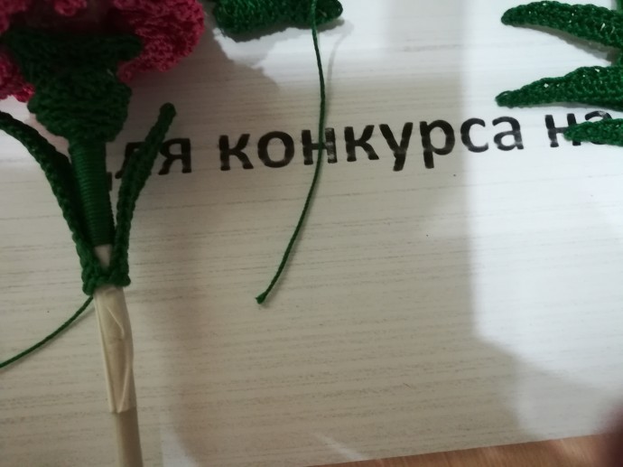 Букет гвоздик Букет гвоздик