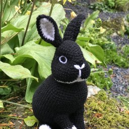 Черный кролик