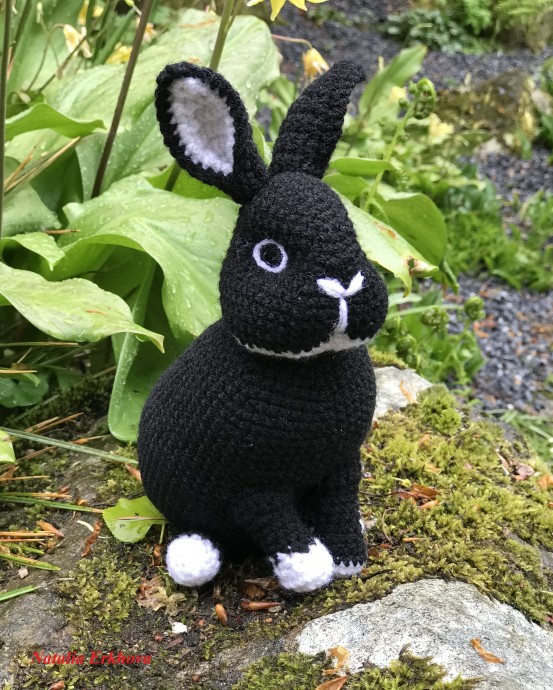 Черный кролик