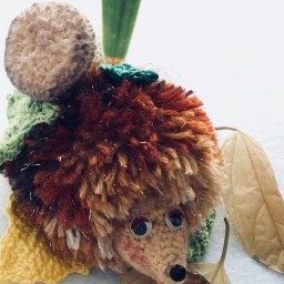 Ёжик заготовитель.