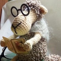 Мудрая барашкинс