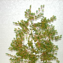 мои работы помимо вязания