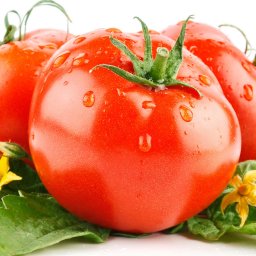 Семена томатов.Нужен совет.