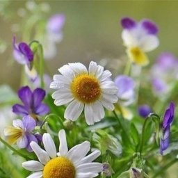 Топик из бабушкиного квадрата.