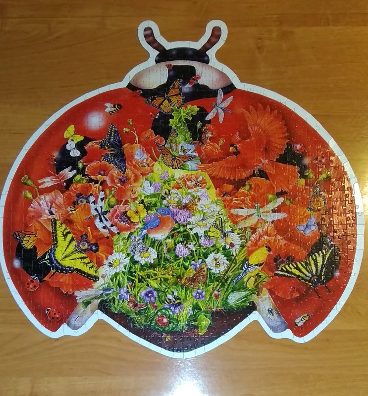 Божья коровка