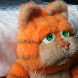 Кот-подушка