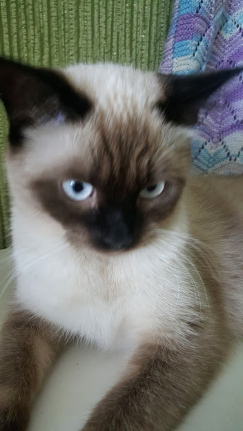 ЛЕТНЯЯ КОФТОЧКА ЛЕТНЯЯ КОФТОЧКА