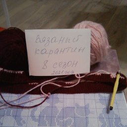 Кошачий край