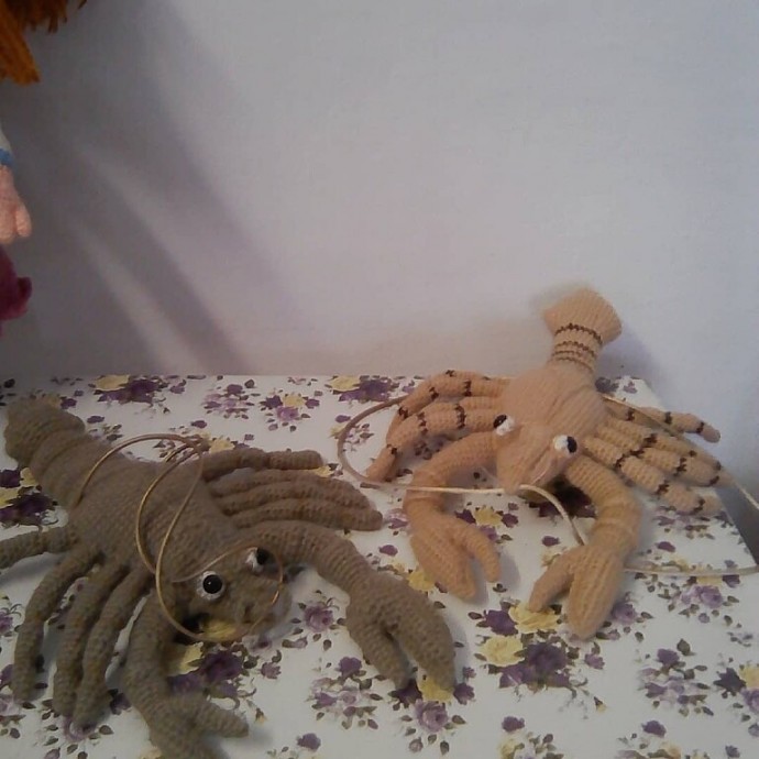 мои любимые членистоногие мои любимые членистоногие