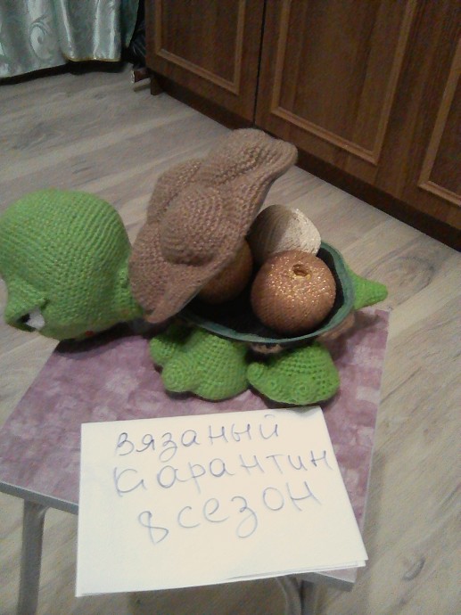 Черепашка Черепашка