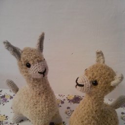 лама, альпака