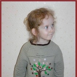 Пуловер с пуговичным деревом