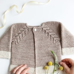 Реглан "Елочка"