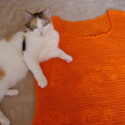 топ филейный