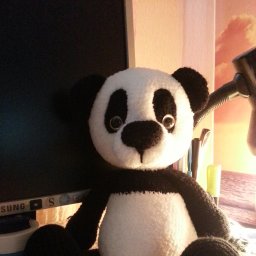 Панда
