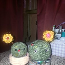 вязаный кактус