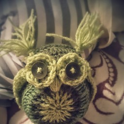 кофейная сова