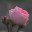 ele7209 ele7209