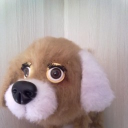 Мой сказочный мир.